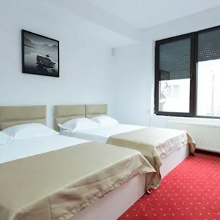 Hotel Pascu 3*
